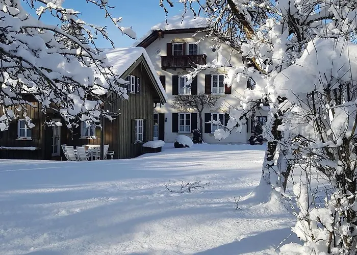 Alp Tatil Evi