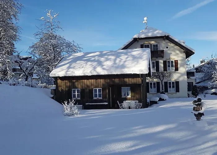 Alp Tatil Evi *